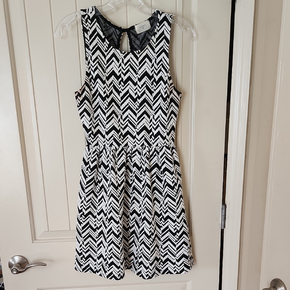 Everly Black and White Fit and Flare Mini Dress